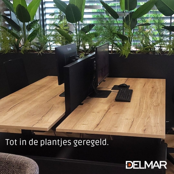 Tot in de plantjes geregeld!