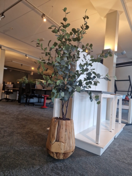 Nieuwe beplanting in de showroom