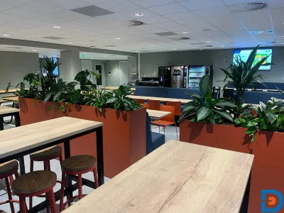 Moderne leerlingkantine met lange tafels, barkrukken en planten, ontworpen voor informele eet- en ontmoetingsmomenten.