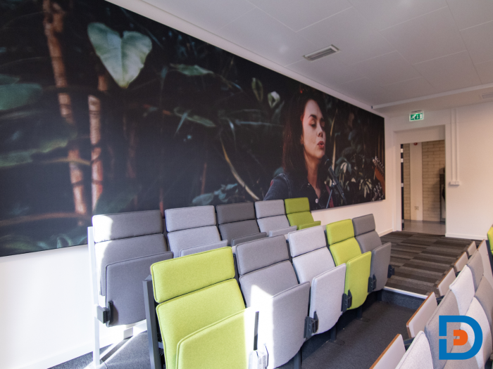 Flexibele collegezaal met kleurrijke klapstoelen en een opvallende wandafbeelding die de ruimte karakter geeft