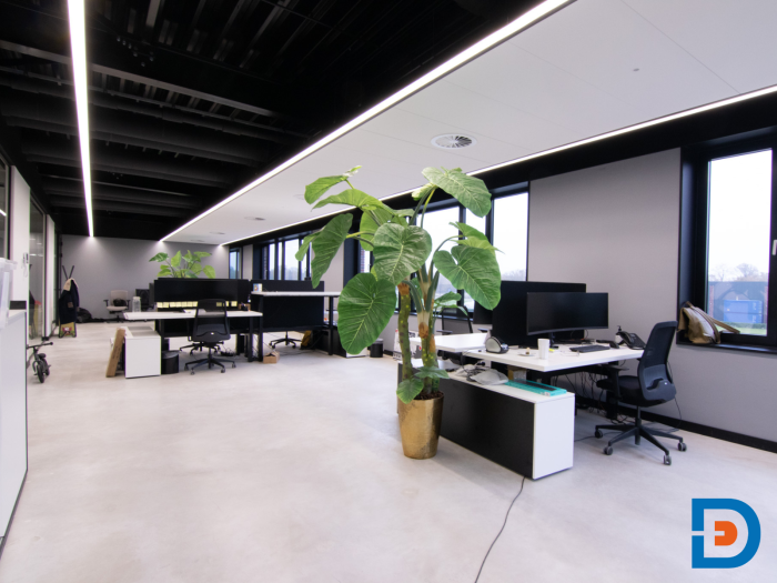 Stoere kantoortuin met grote groene planten voor een frisse en natuurlijke werkomgeving.